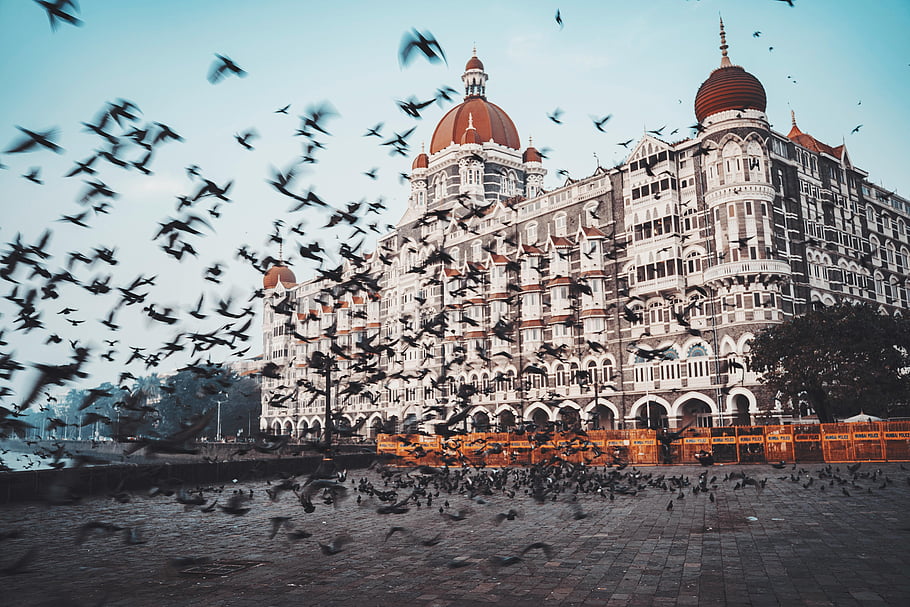 बॉलीवुड बनाम साउथ: क्या हिंदी सिनेमा कंटेंट की दौड़ में पिछड़ रहा है? nweg india