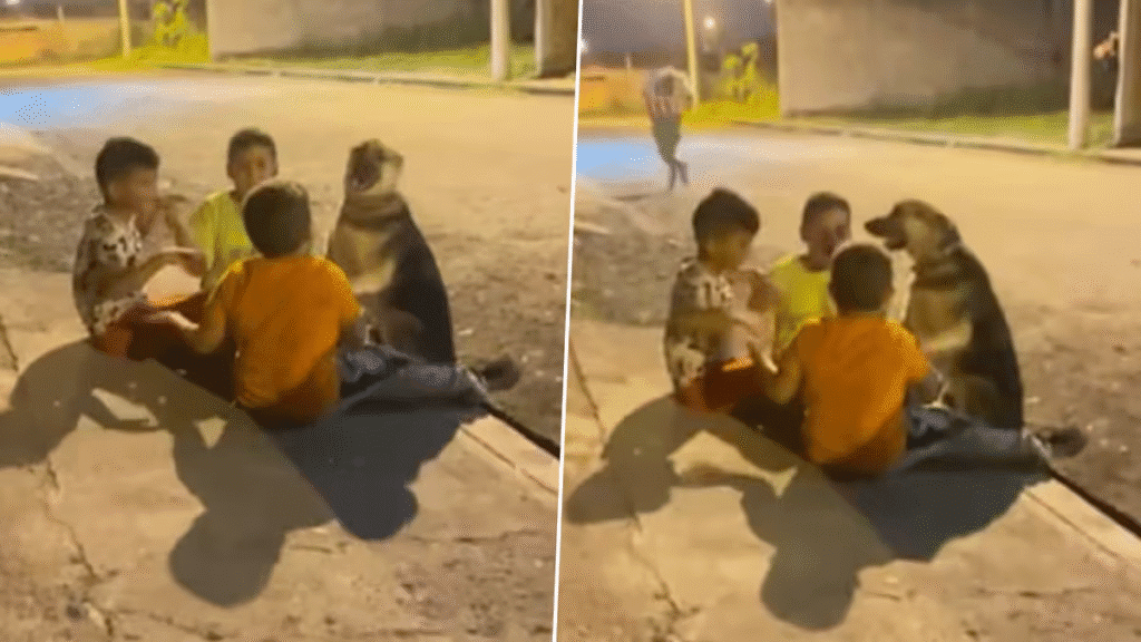 Viral Video: कुत्ता बना बच्चों का दोस्त, सड़क किनारे खेल का प्यारा नजारा जीत रहा दिल newg india