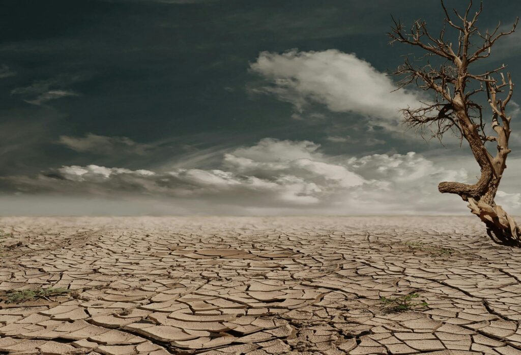 भारत पर Climate Change का दोहरा खतरा, 2030 तक लू की तपिश दोगुनी newg india