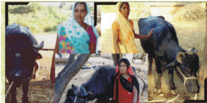NewG India