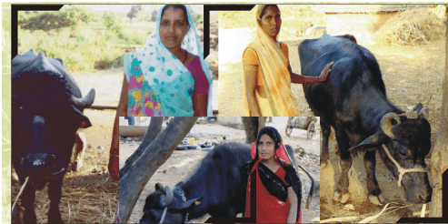 NewG India